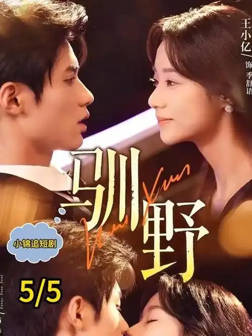 白塔之下热播电视剧在线观看